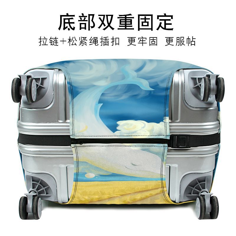 별이 빛나는 하늘 브랜드 두꺼운 여행 수하물 보호 커버 - Travel Accessories Brand 리뷰 및 가격